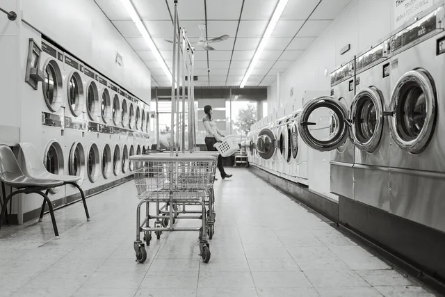 laundry saloon, laundry, person, washing machines, clean, wash, housework, washer, clothes, domestic, laundromat, dryers, carts, baskets, laundry, laundry, laundry, laundry, laundry, laundromat. Appliance Repair Certification by State: Which Board to Apply To