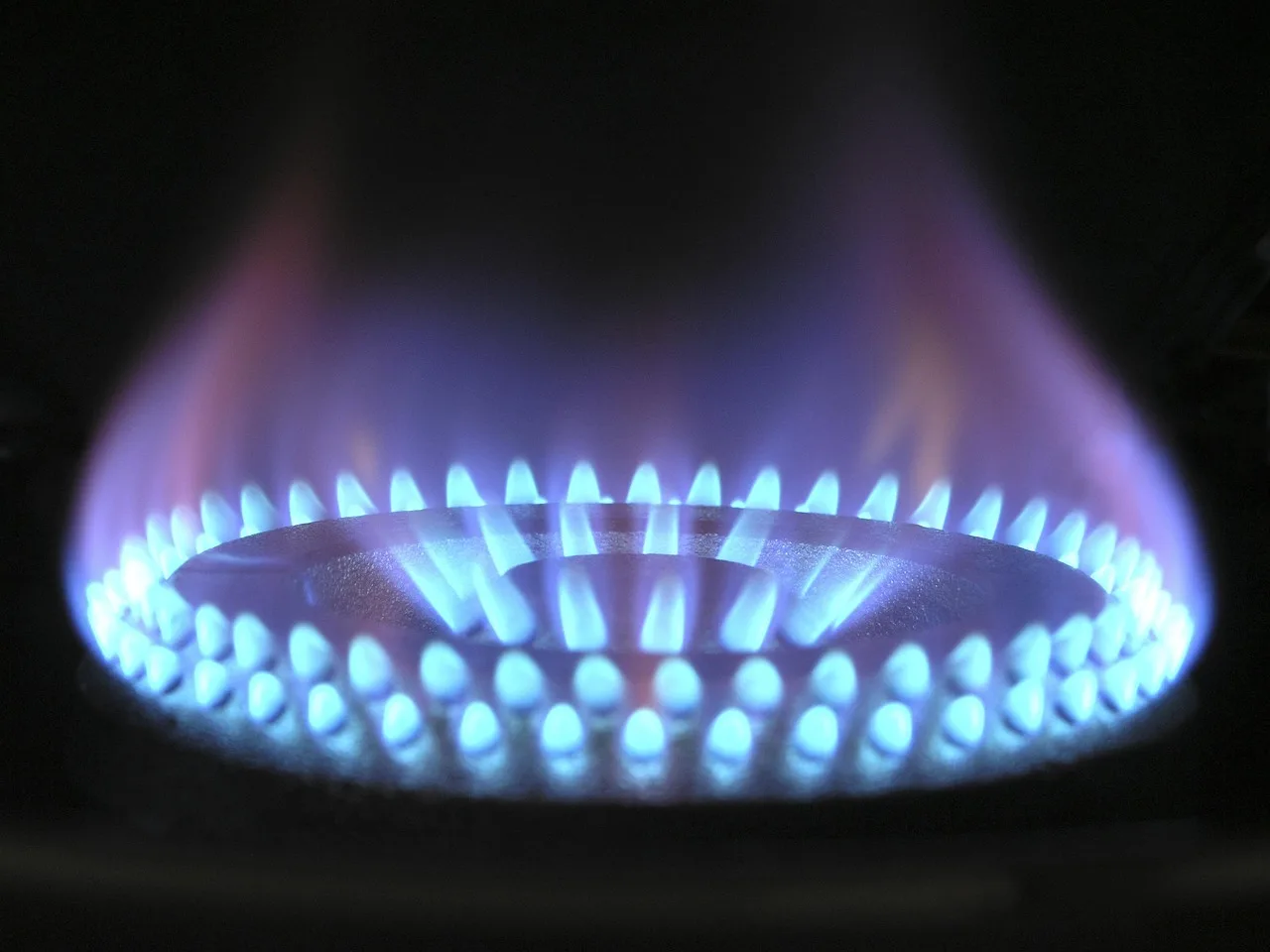 flame, gas, gas flame, blue, hot, ring, burner, danger, fire, propane, kitchen, cook, cooking, burning, butane, energy, heat, power, stove, warm, oven, domestic, fossil fuel, gas, gas, gas, gas, gas. The appliance repair onboarding checklist for new staff