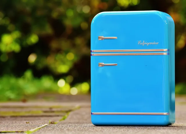 refrigerator, can, cookie jar, blue, storage, tin can, sheet, coloured, silver, refrigerator, refrigerator, refrigerator, refrigerator, refrigerator. Parts sourcing and booking schedules for appliance repair in St. John's and Winnipeg